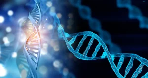 Genetische Diagnostik DNA